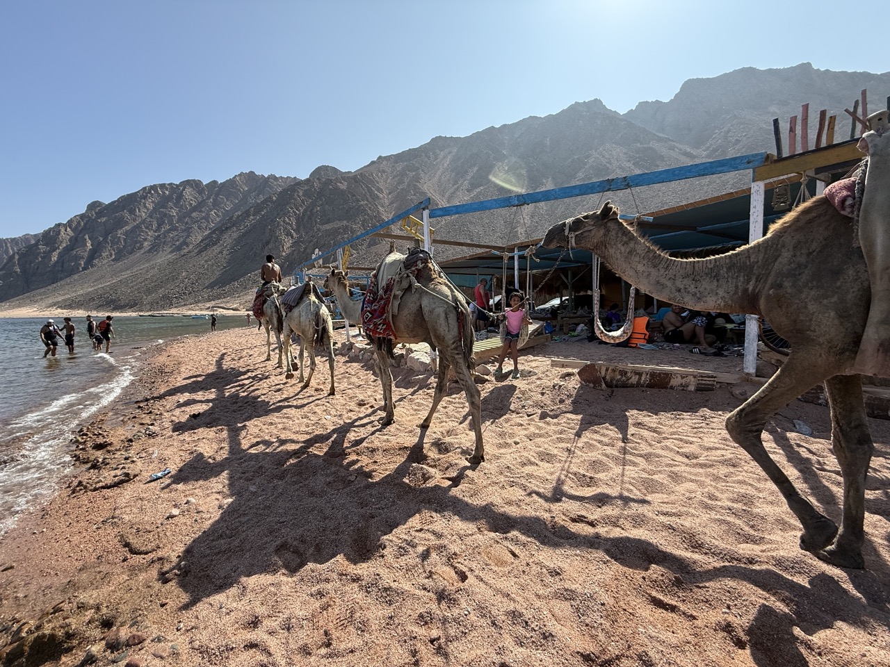 Dahab